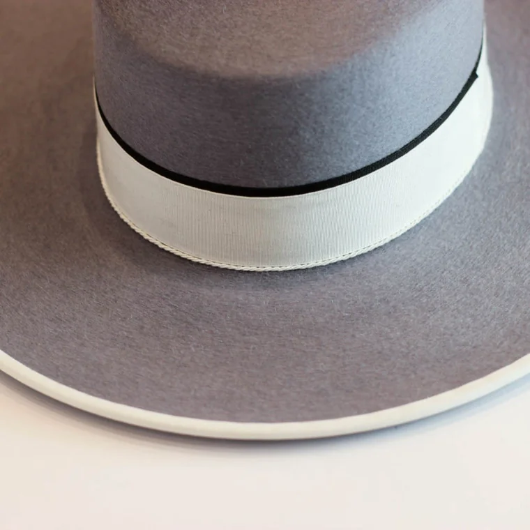 Sombrero Ala Ancha Superior Plata