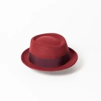 Sombrero Mascota Pork Pie